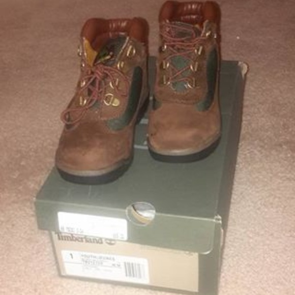 brown and green timberlands